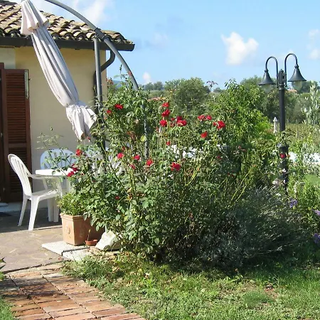 Casa Vacanze Oliva Montefalco